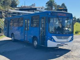 VOLKSWAGEN - 17-230 - 2010/2010 - Azul - R$ 105.000,00