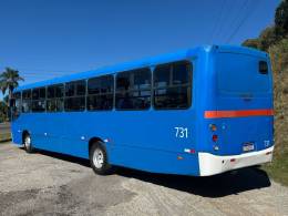 VOLKSWAGEN - 17-230 - 2010/2010 - Azul - R$ 105.000,00